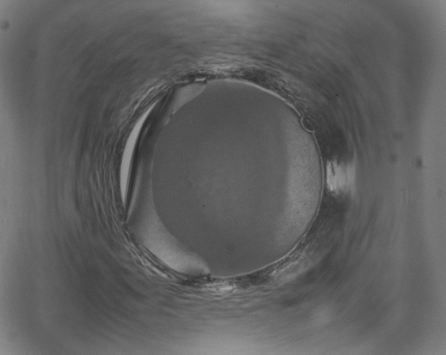 X0000065981155200603101415