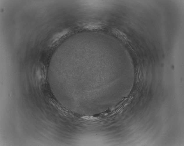 X0000065981158200603101415