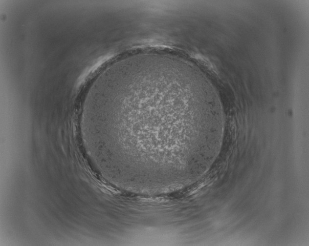 X0000065981159200603101415