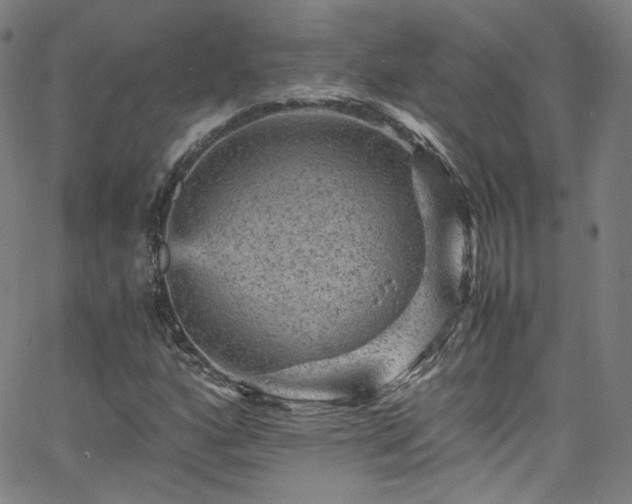 X0000065981160200603101415