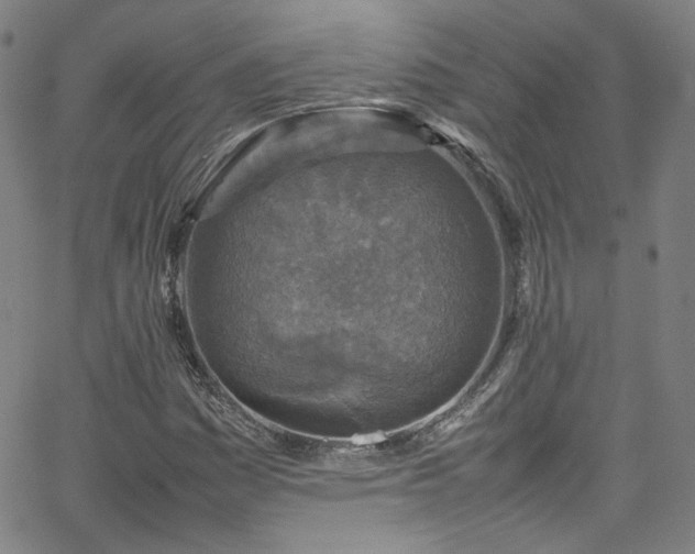 X0000065981161200603101415