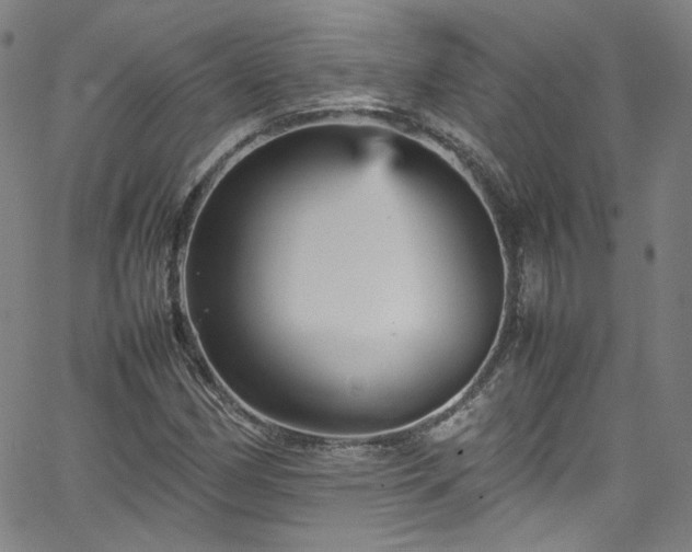 X0000065981162200603101415