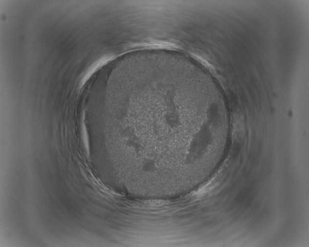 X0000065981163200603101415