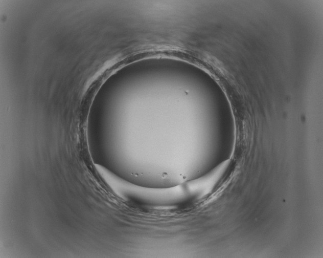 X0000065981165200603101415