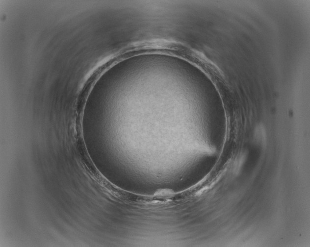 X0000065981166200603101415