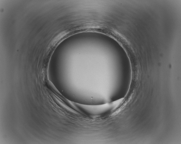 X0000065981169200603101415