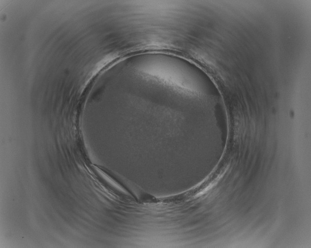 X0000065981170200603101415