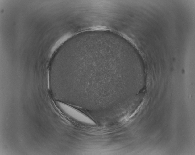 X0000065981171200603101415