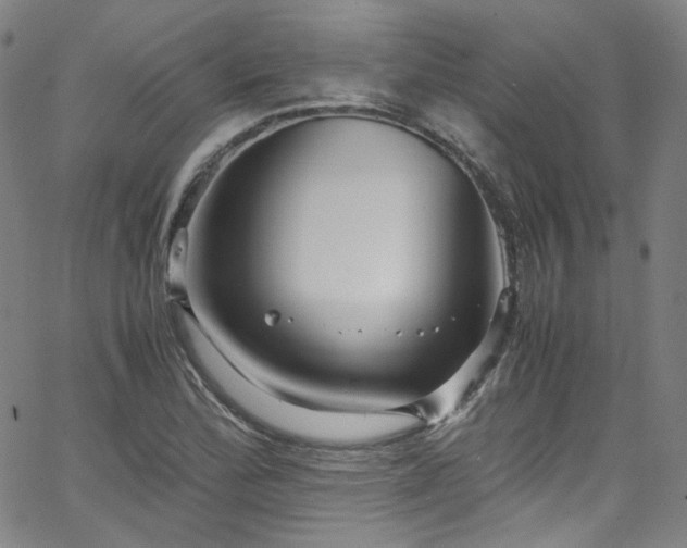 X0000065981172200603101415