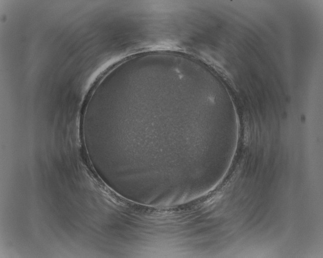 X0000065981174200603101415