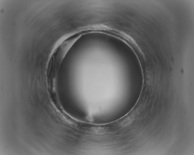 X0000065981176200603101415