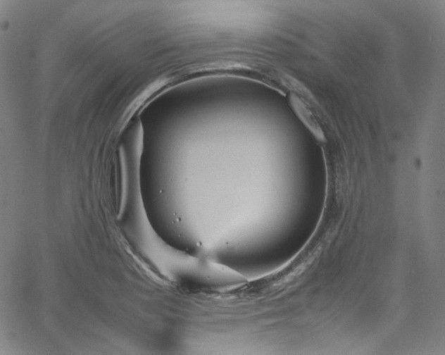 X0000065981177200603101415