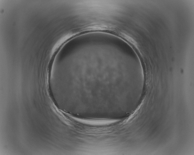 X0000065981179200603101415