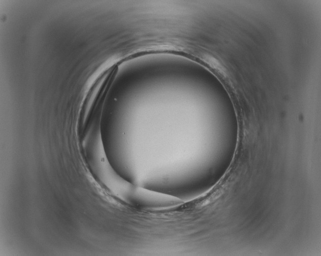 X0000065981181200603101415