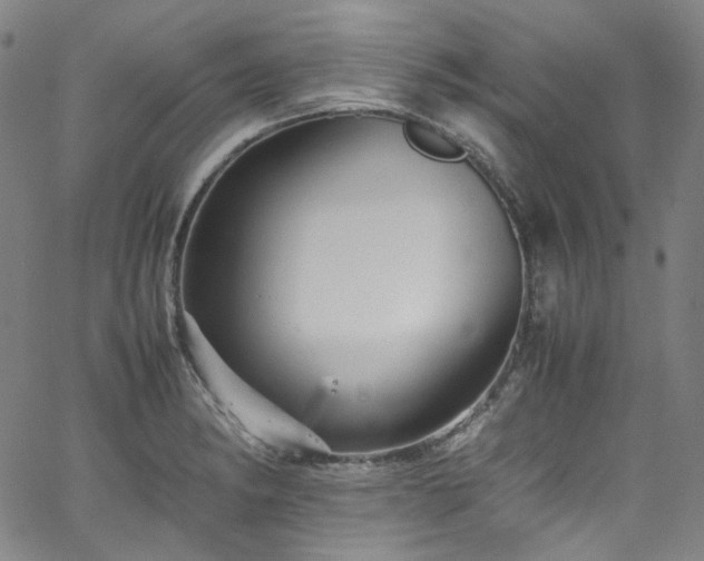 X0000065981182200603101415