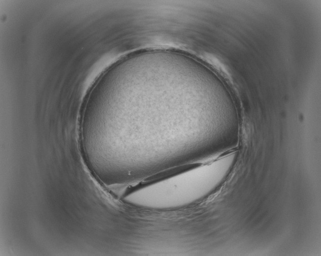 X0000065981183200603101415