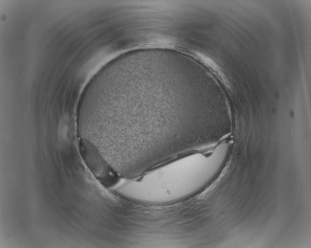 X0000065981184200603101415