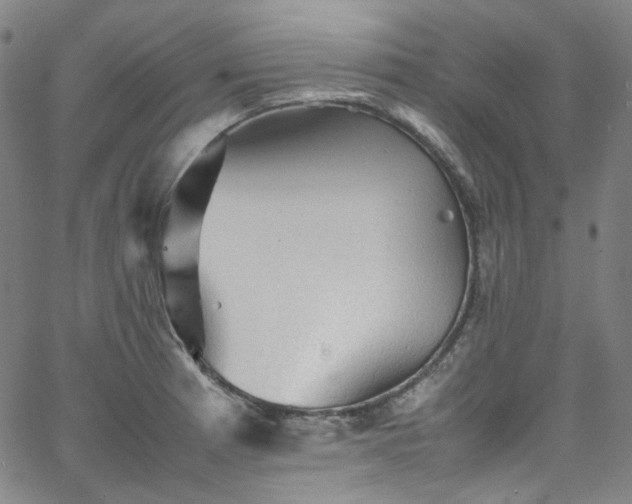 X0000065981185200603101415