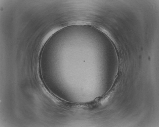 X0000065981187200603101415