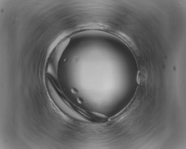 X0000065981188200603101414