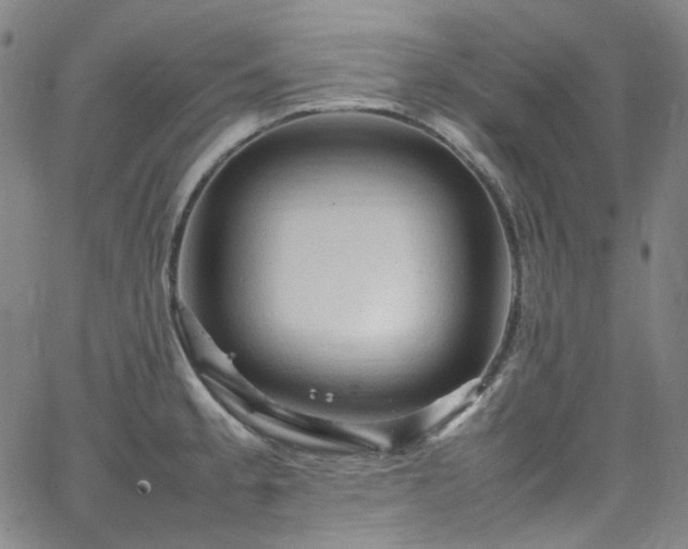 X0000065981189200603101414