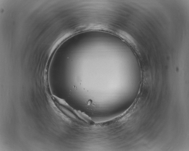 X0000065981190200603101414