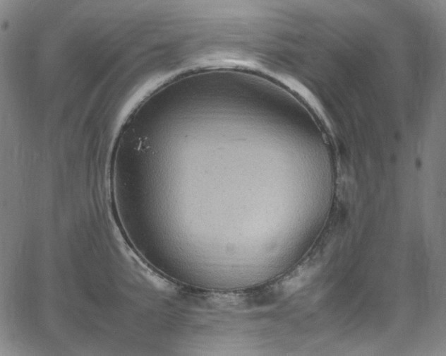 X0000065981191200603101414