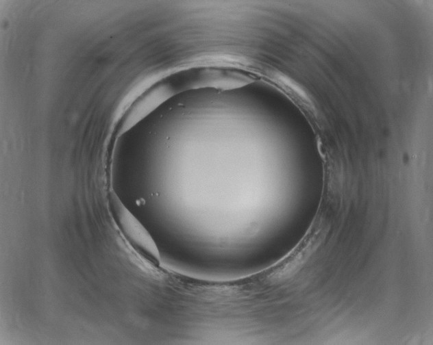 X0000065981192200603101414