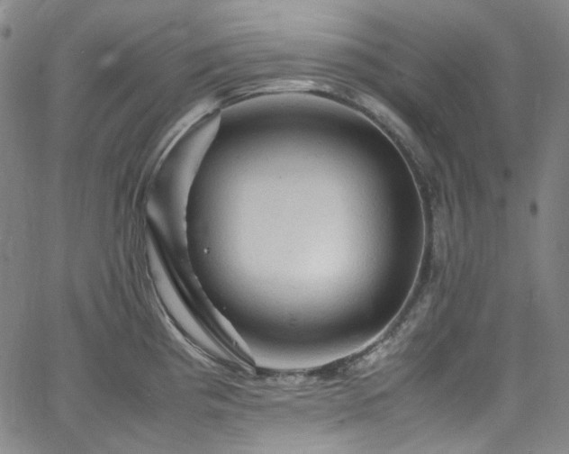 X0000065981193200603101414