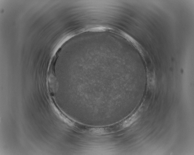 X0000065981194200603101414