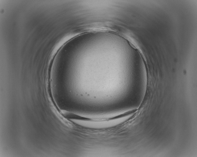 X0000065981195200603101414