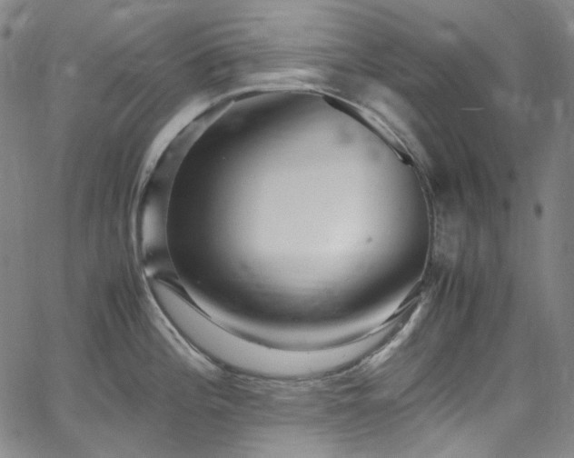 X0000065981196200603101414