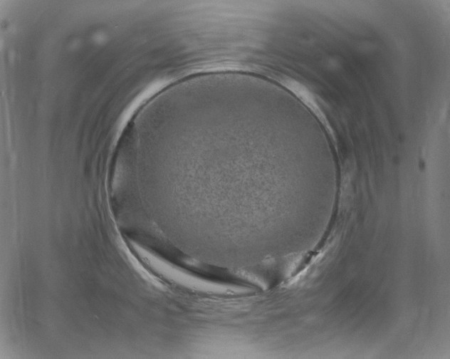 X0000065981197200603101414