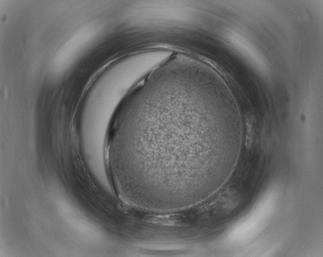 X0000065981198200603101414