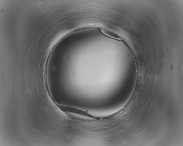 X0000065981199200603101414