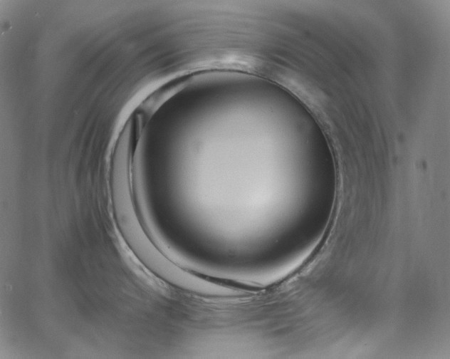 X0000065981200200603101414