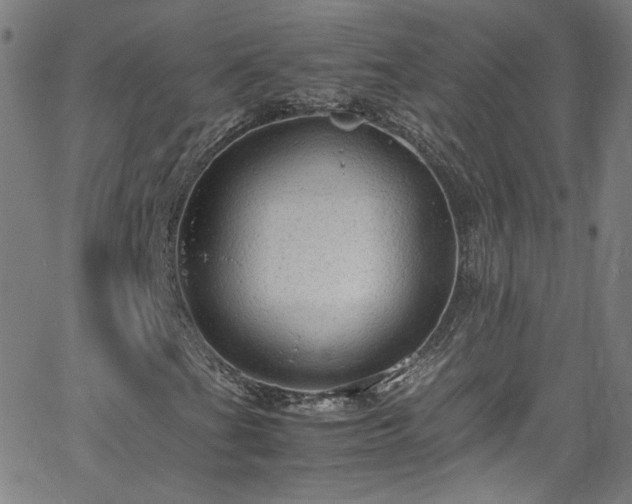 X0000065981201200603101414