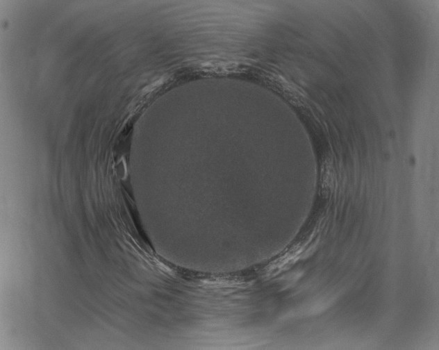 X0000065981202200603101414