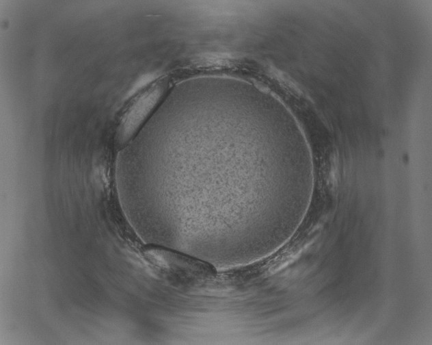 X0000065981206200603101414