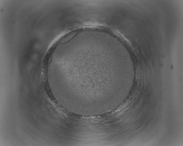 X0000065981208200603101414