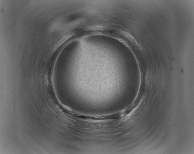 X0000065981209200603101414