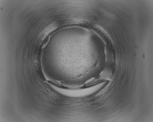 X0000065981210200603101414