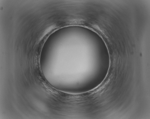 X0000065981211200603101414