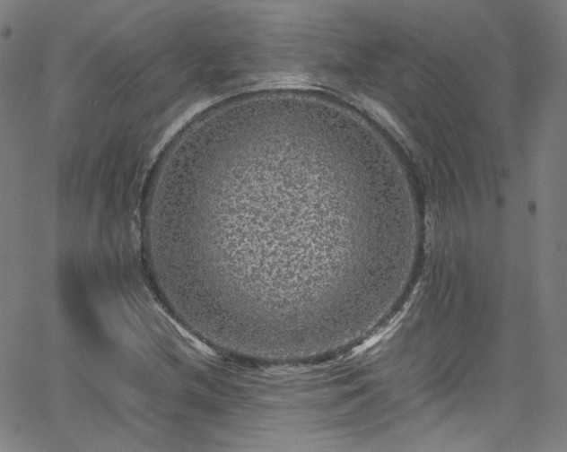 X0000065981212200603101414