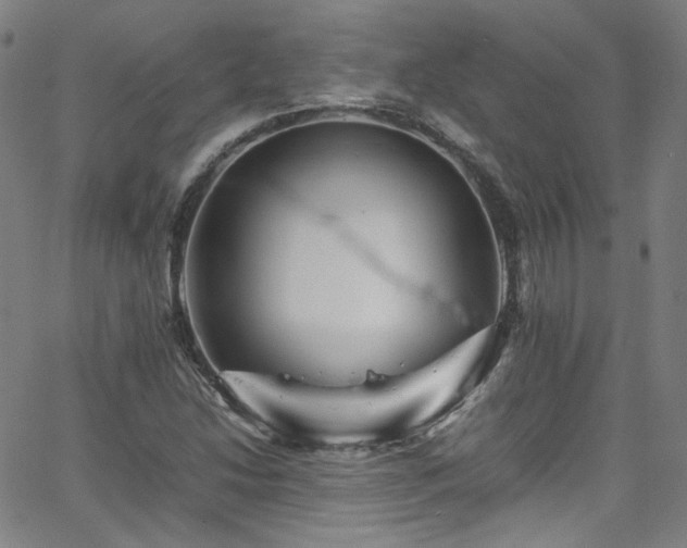 X0000065981214200603101414