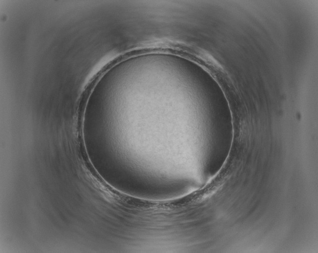 X0000065981216200603101414