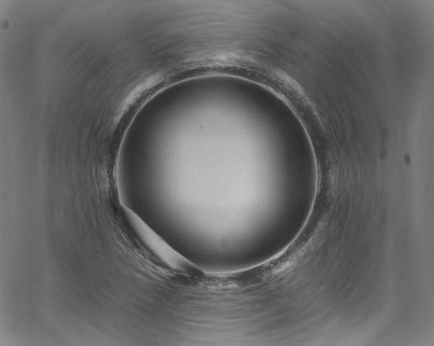 X0000065981218200603101414