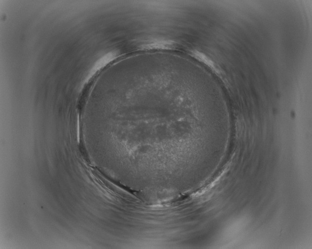 X0000065981219200603101414