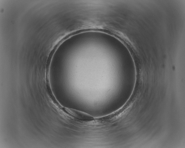 X0000065981220200603101414