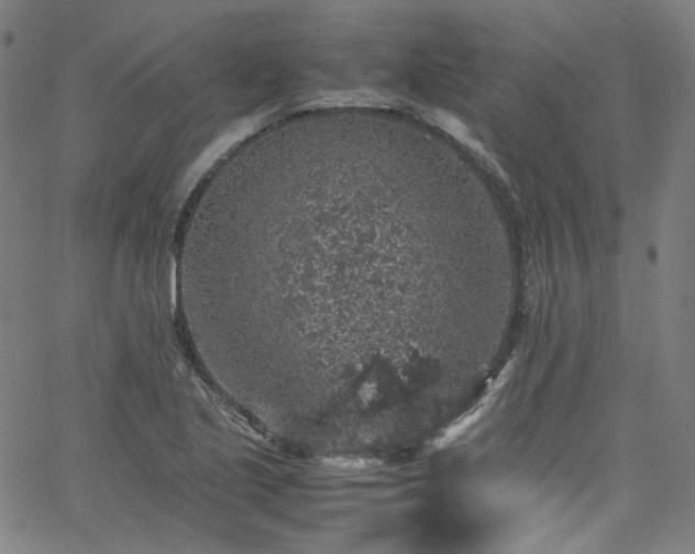 X0000065981221200603101414